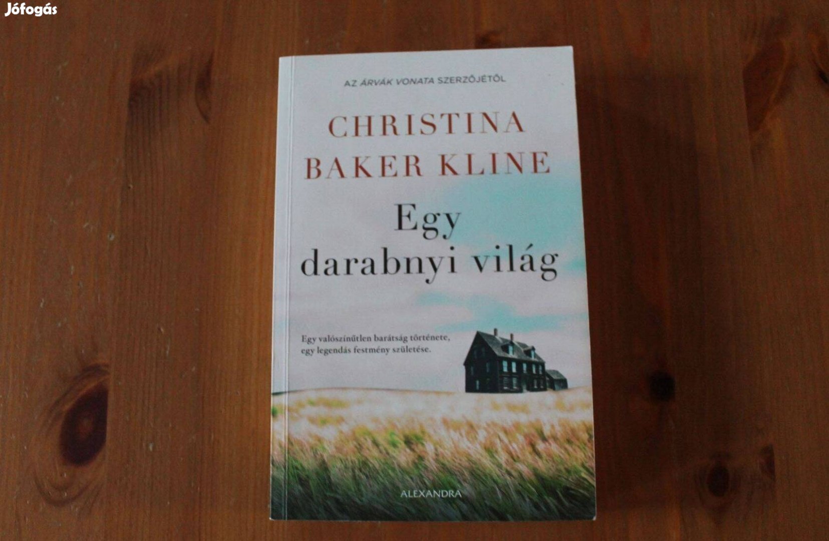 Christina Baker Kline - Egy darabnyi világ