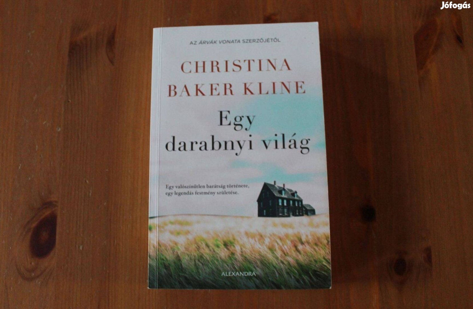 Christina Baker Kline - Egy darabnyi világ