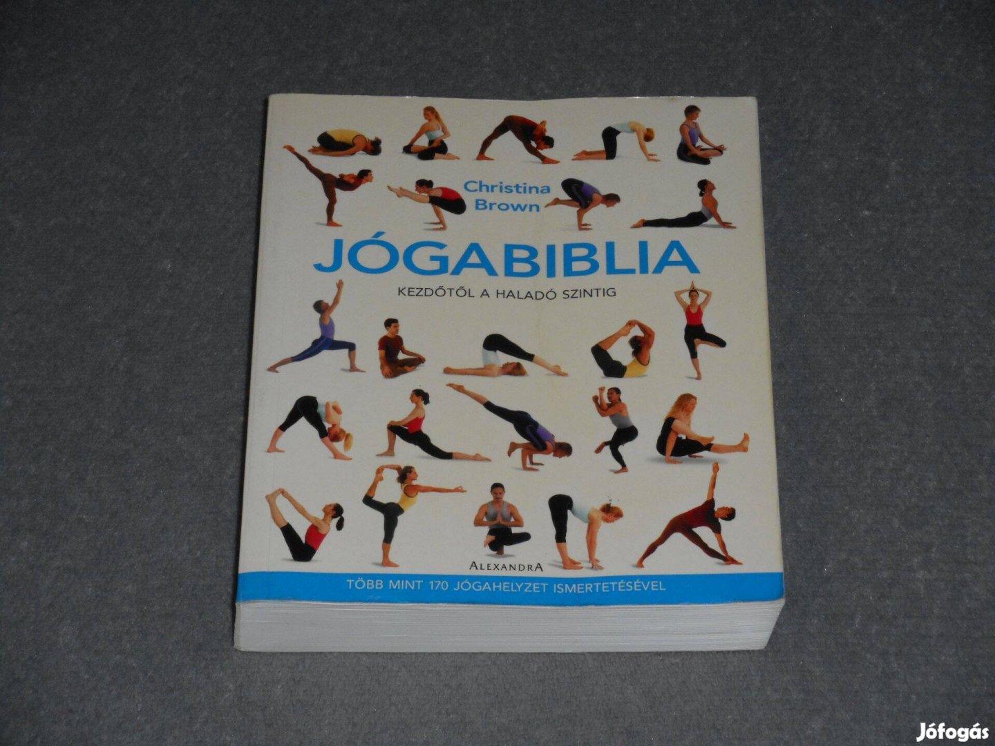 Christina Brown - Jógabiblia - Kezdőtől a haladó szintig