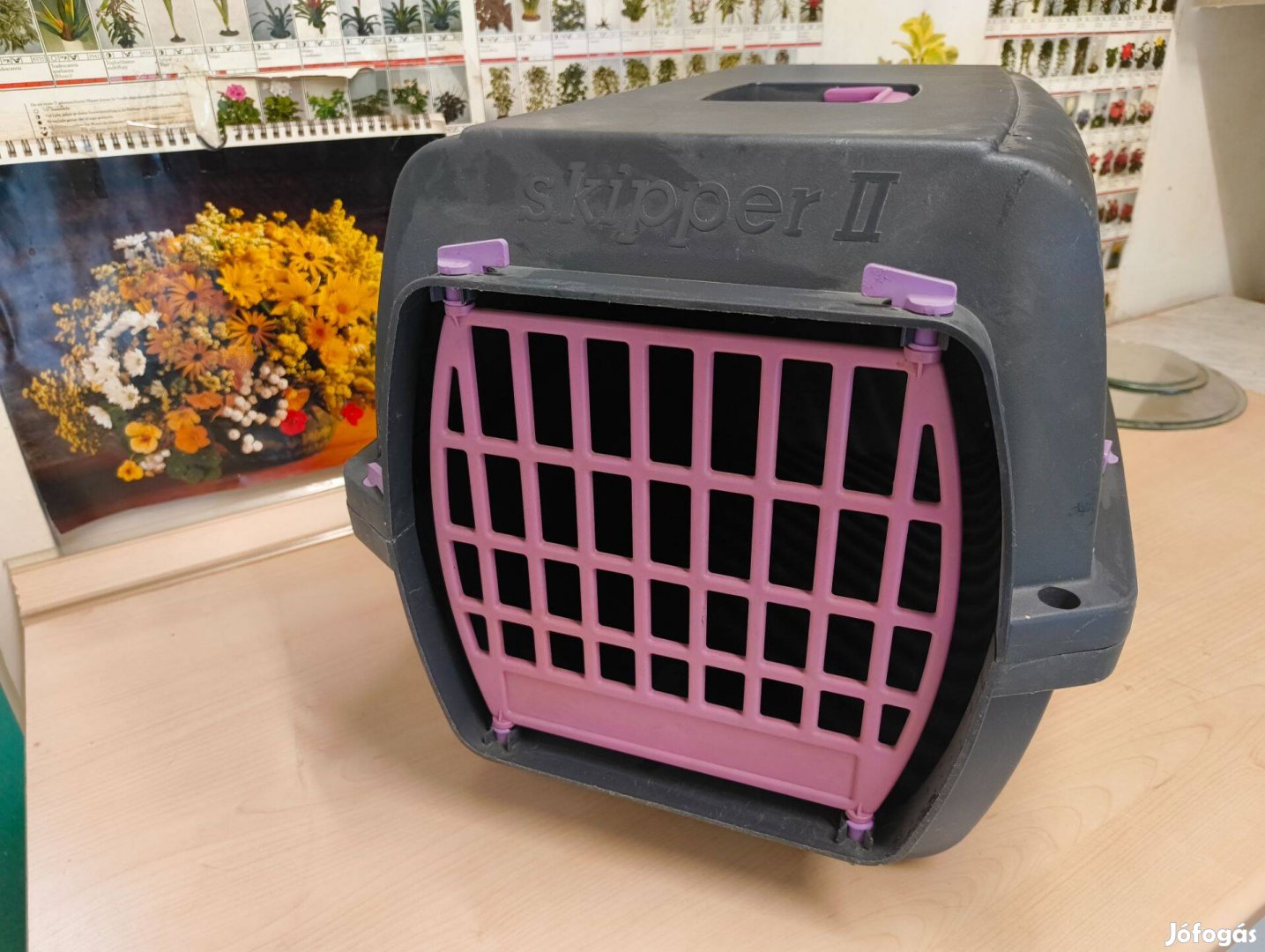 Cica, kistestű kutya és kisállat szállítóbox