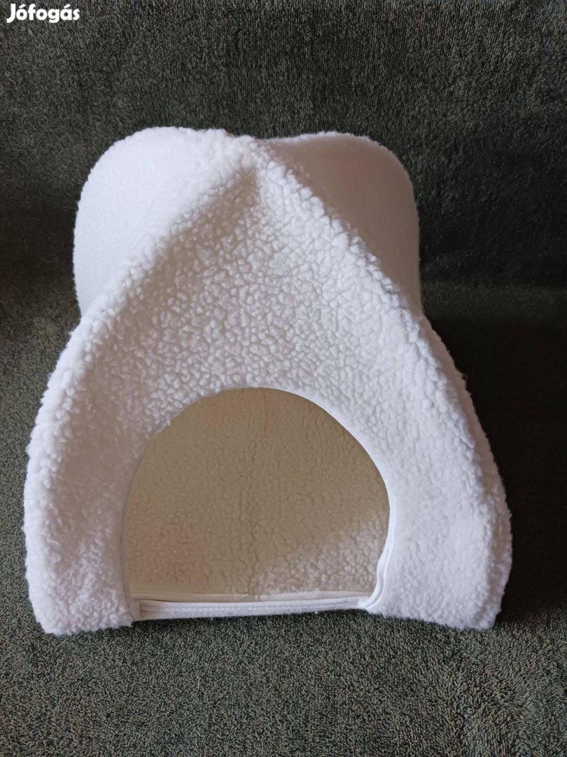 Cica, macska, kutya kuckó