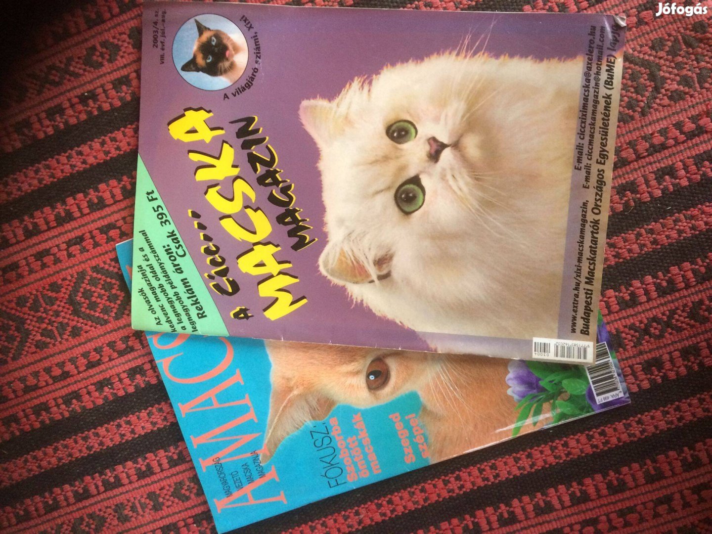 Cica magazin régi számai 1000 ft db