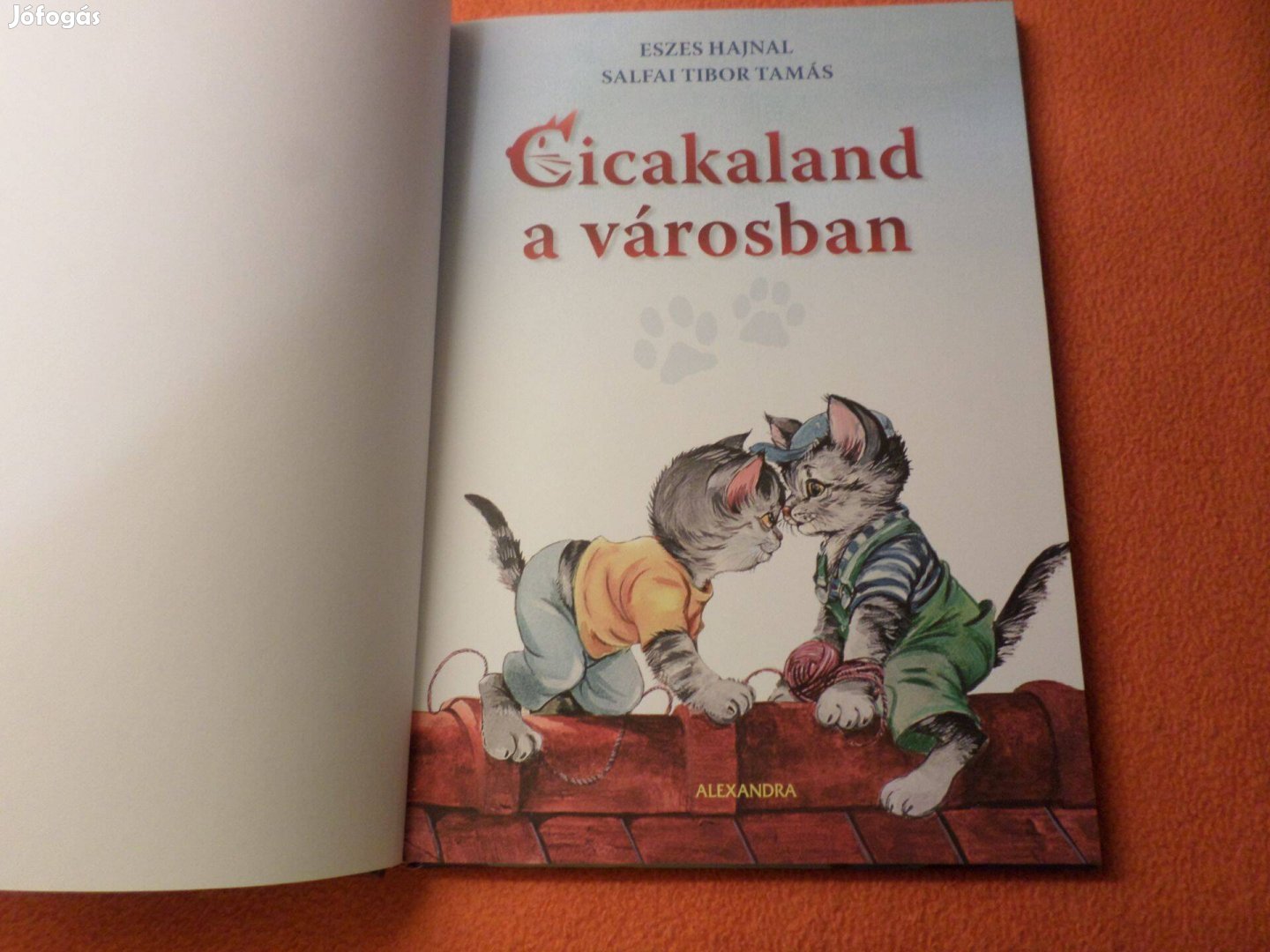 Cicakaland a városban Eszes Hajnal Salfai Tibor Tamás, Gyermekkönyv