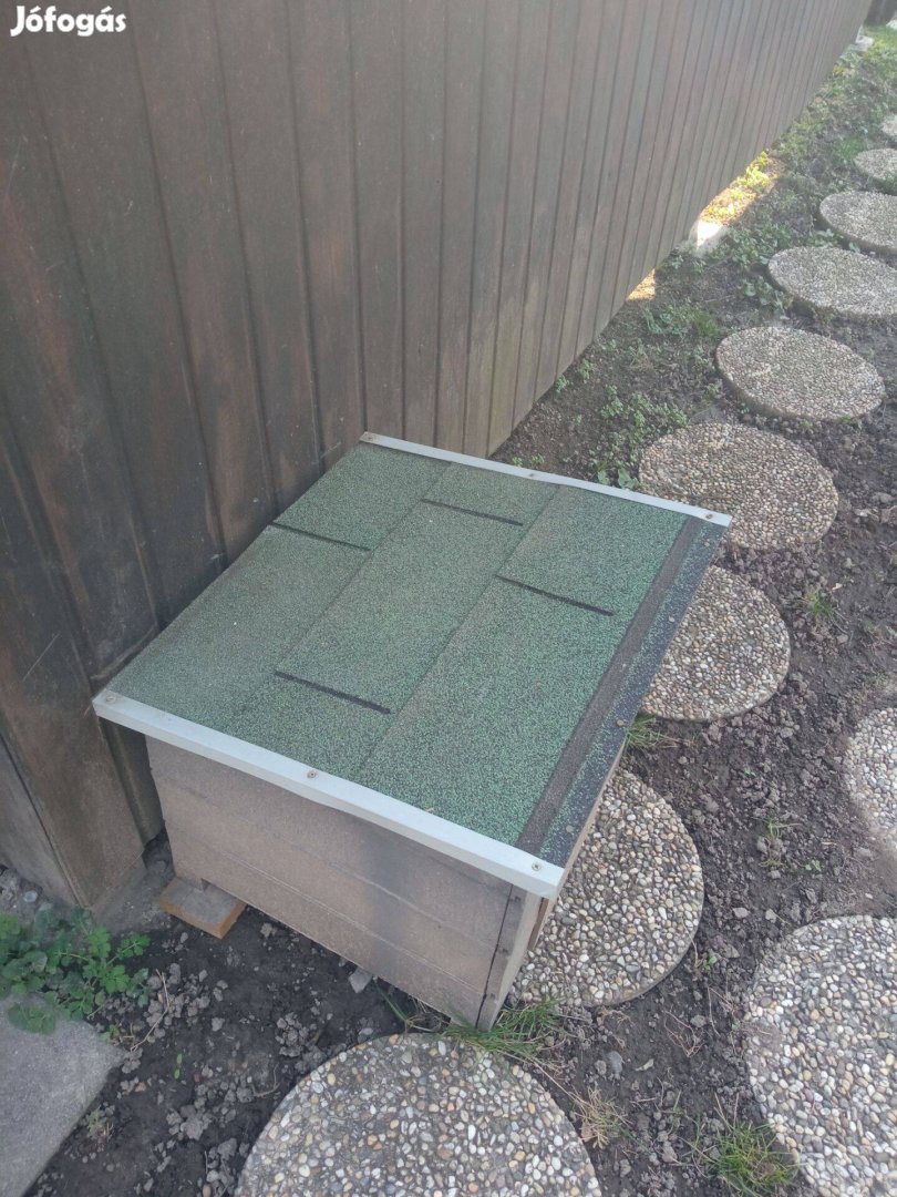 Cicanak vagy kismeretu kutyusnak haz elado!