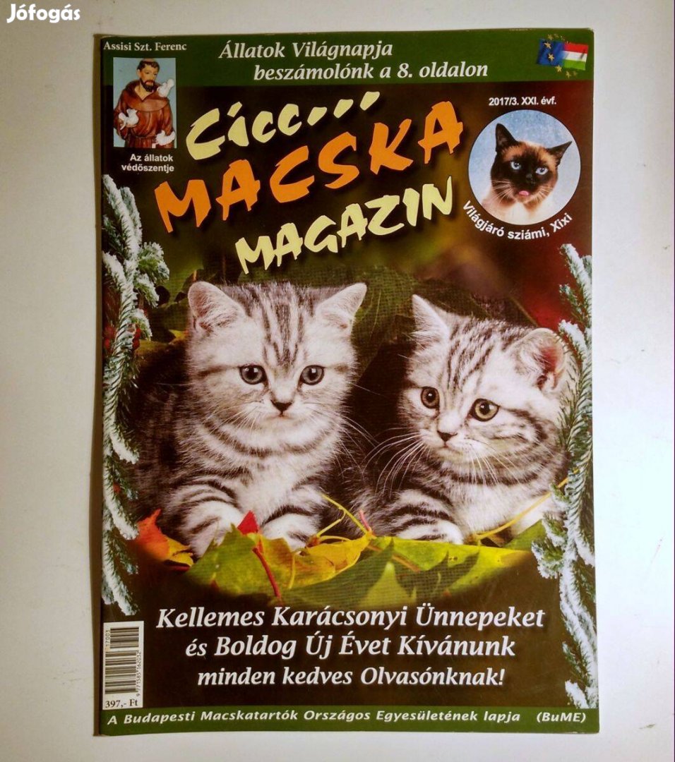 Előnézeti kép