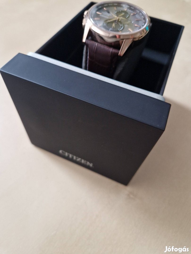 Citizen AT-8113 
