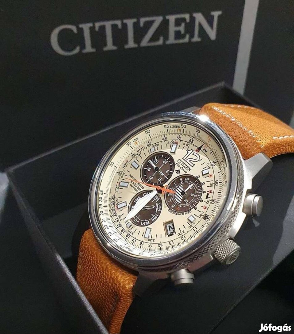 Citizen promaster sky