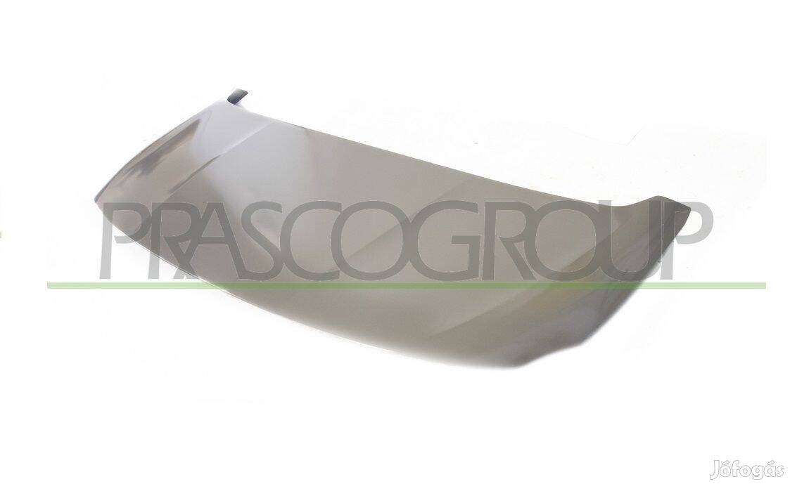 Citroen Berlingo géptető PG9133100