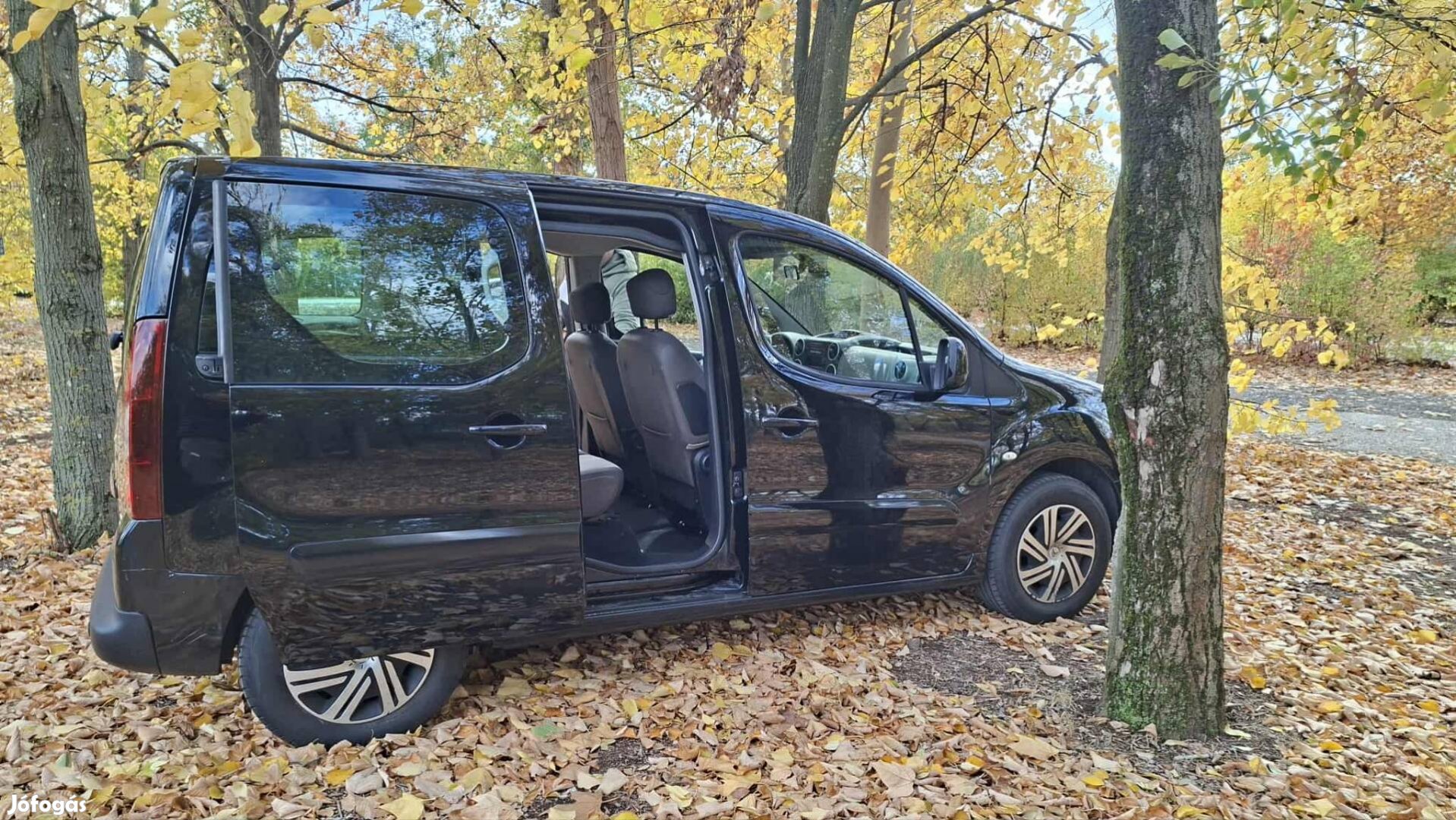 Citroen Berlingo multispace 1.6hdi 114le