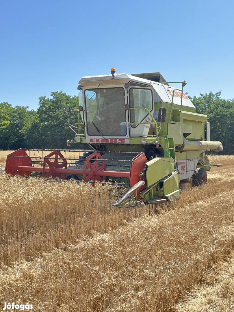 Claas Dominator 86 Eladó.! 