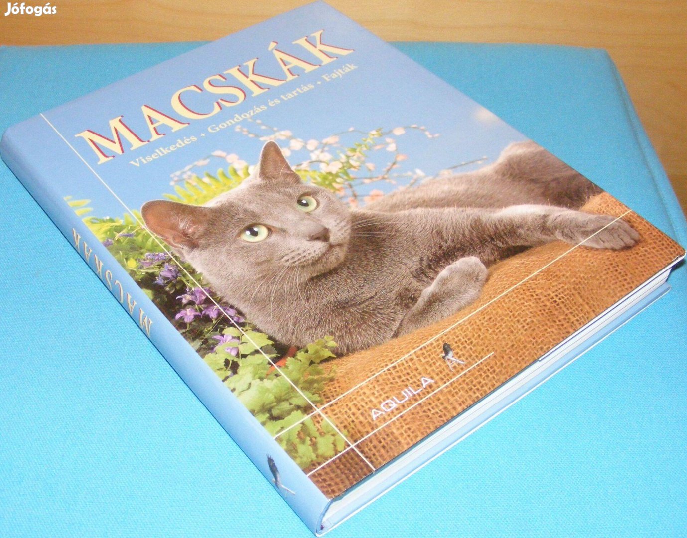 Claire Bessant Macskák - Karakter és viselkedés, gondozás és tartás,