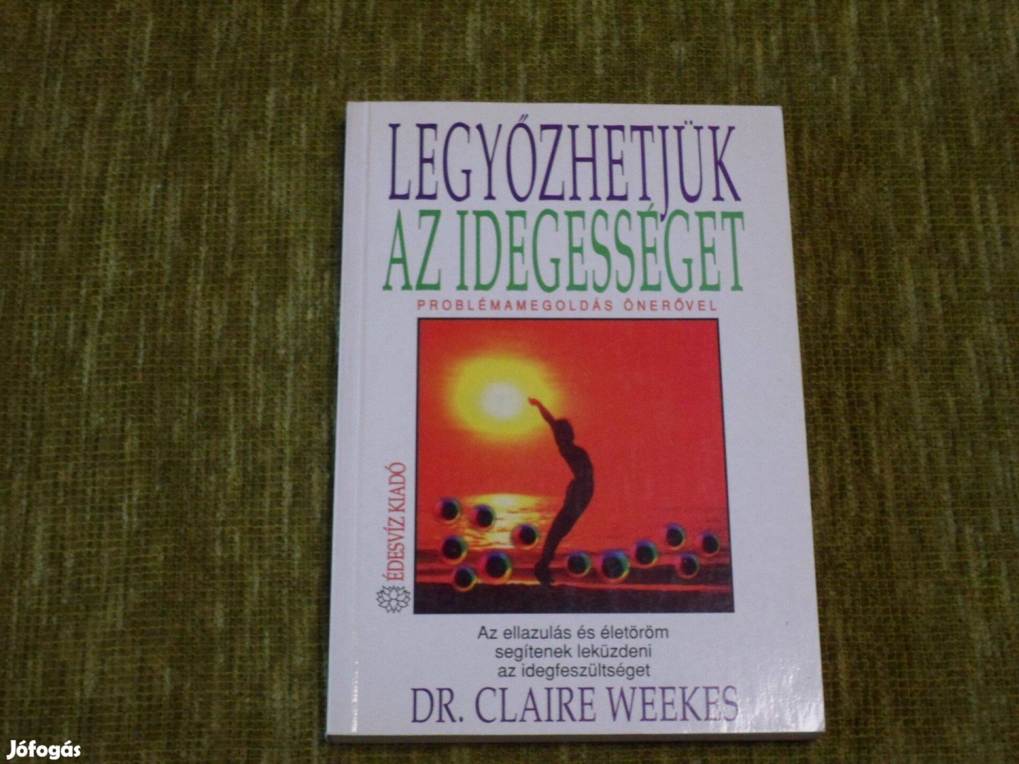 Claire Weekes: Legyőzhetjük az idegességet - Problémamegoldás önerővel