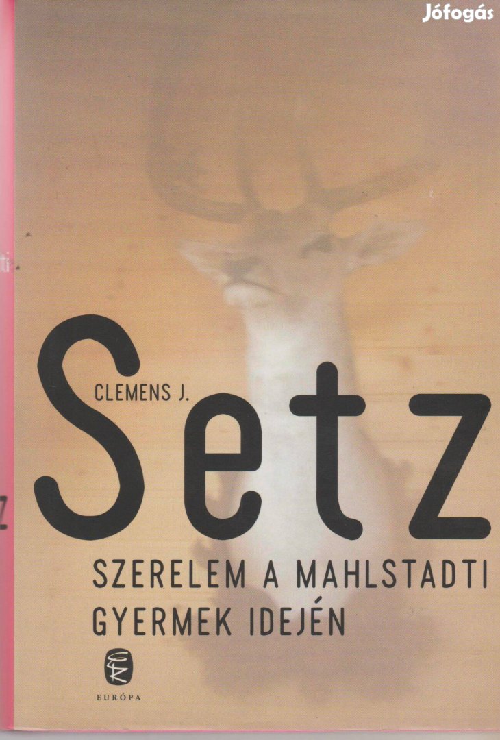 Clemens J. Setz: Szerelem a Mahlstadti gyermek idején