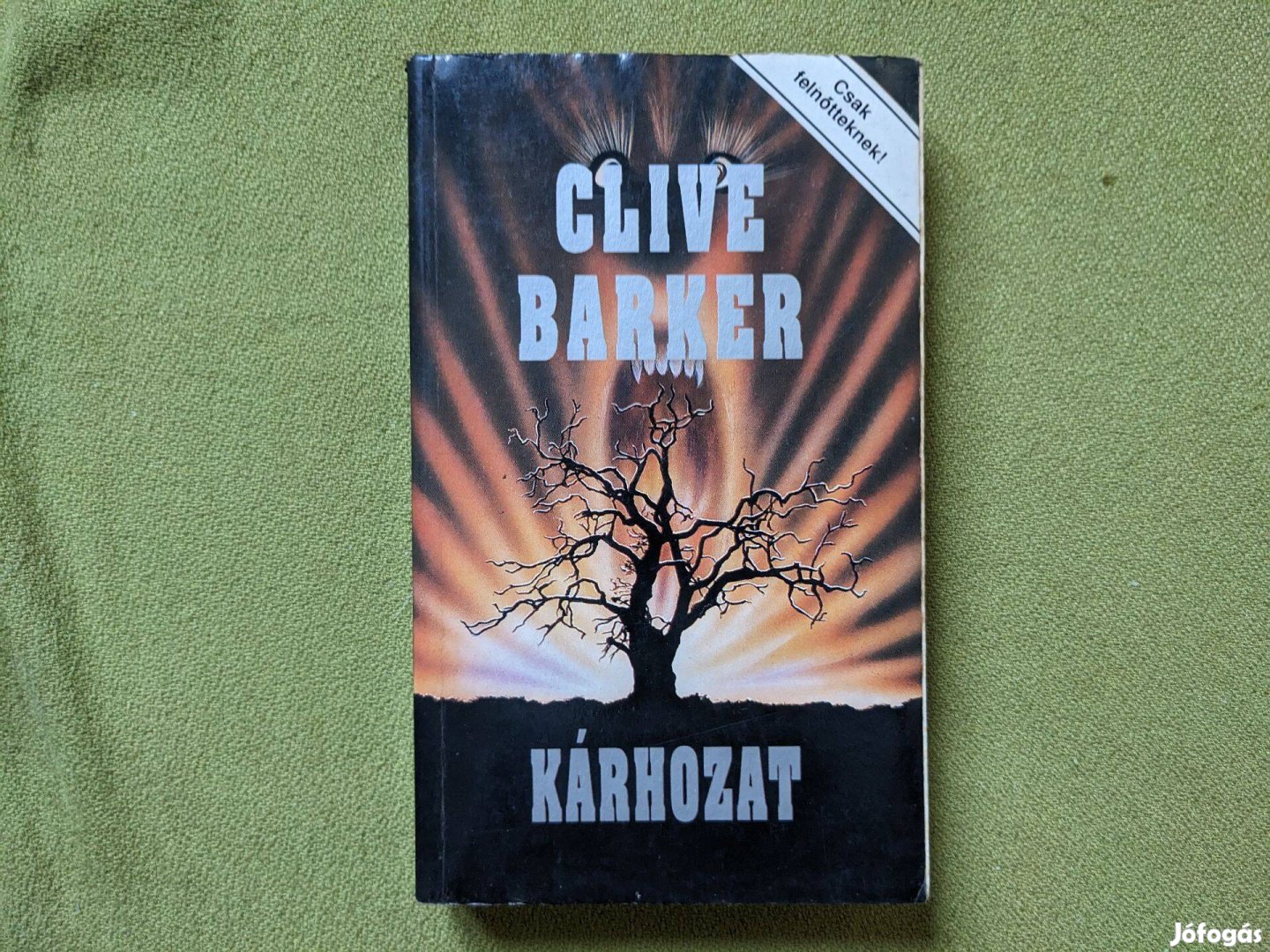 Clive Barker: Kárhozat