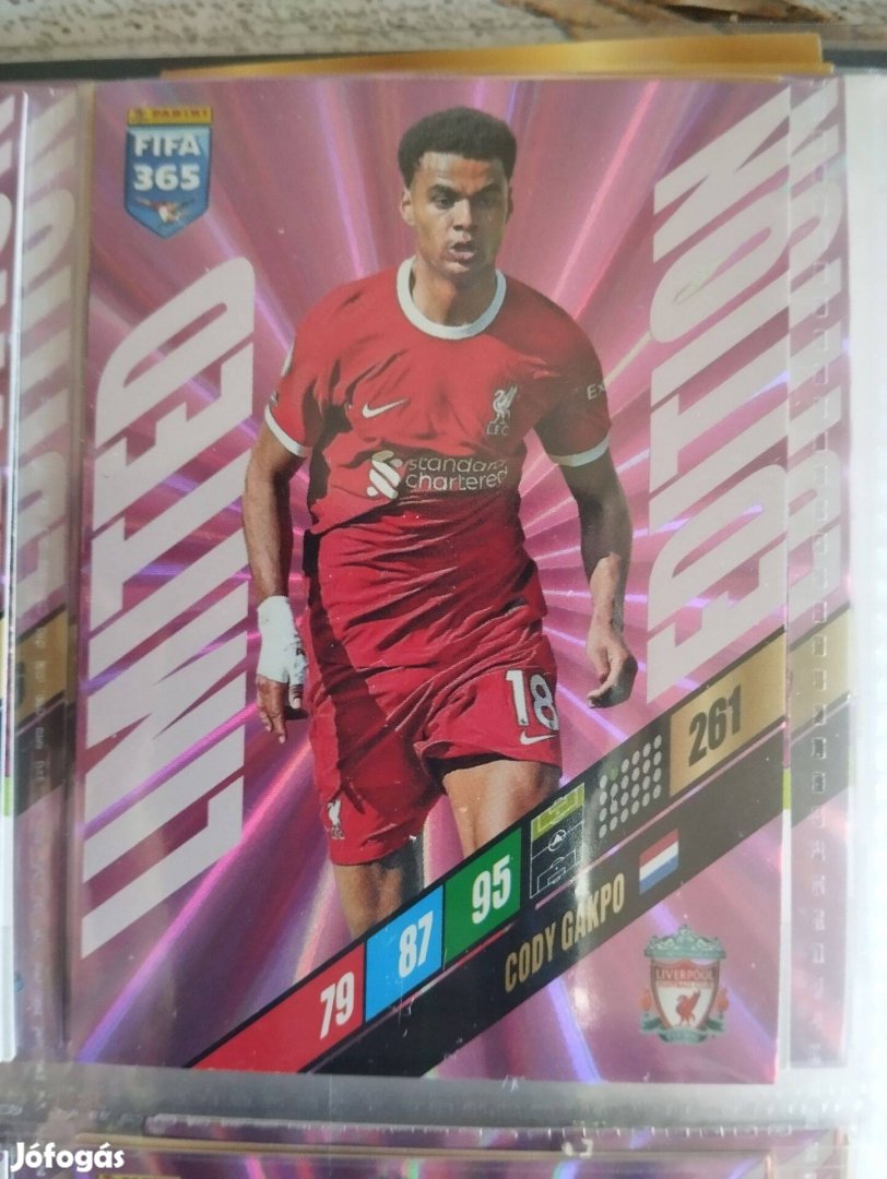 Cody Gakpo (Liverpool) FIFA 365 2024 Limited edition focis kártya