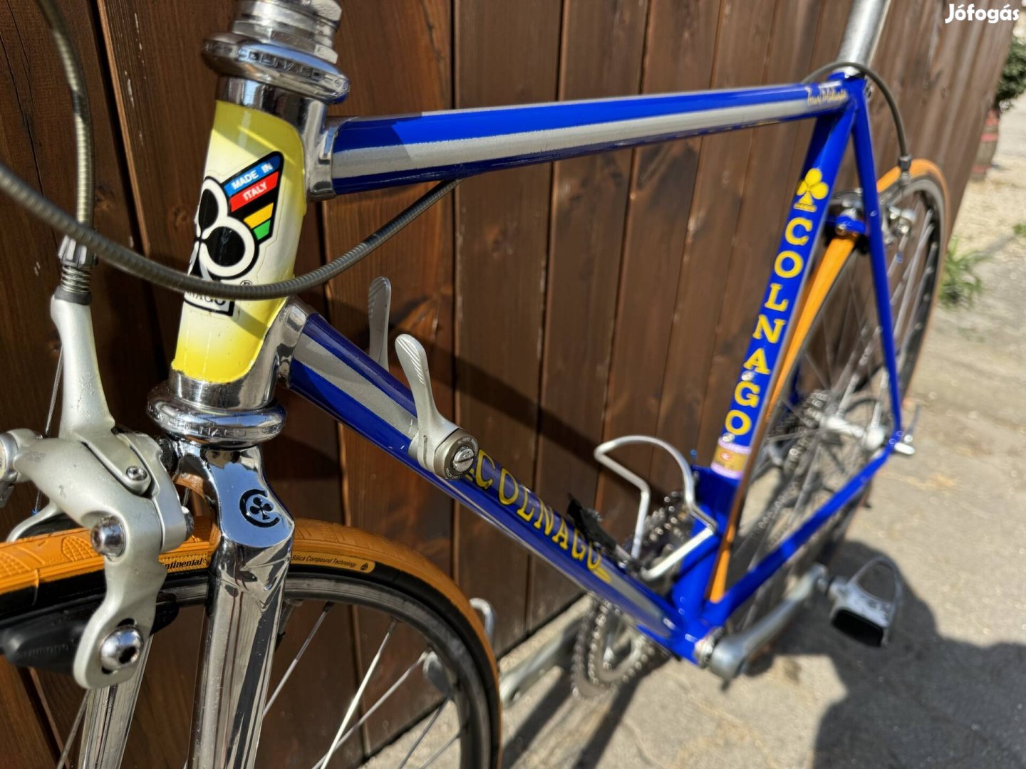 Colnago Super '91 Team Buckler Edition