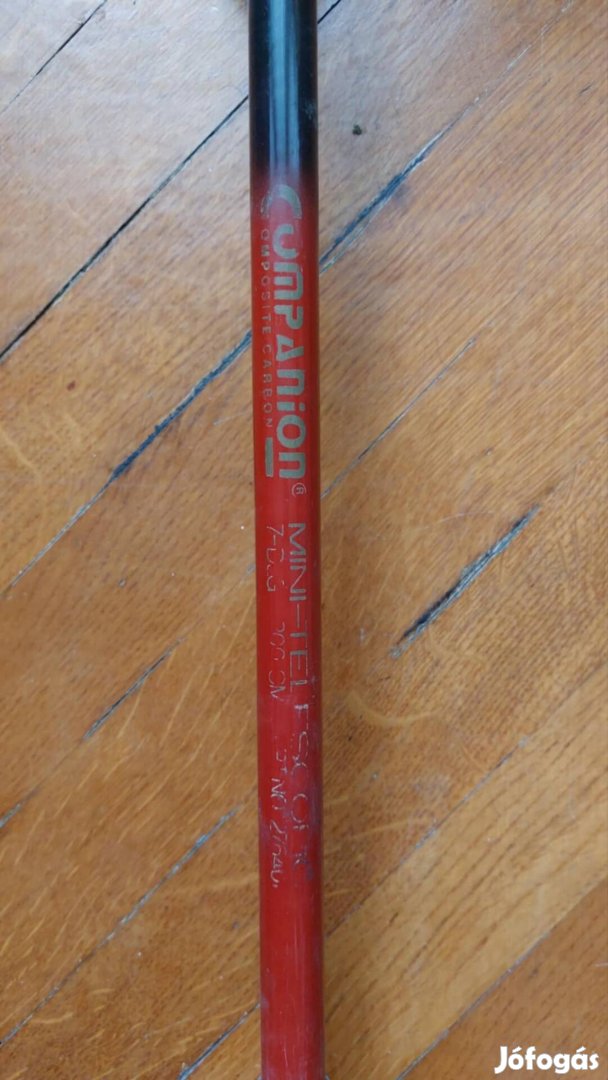 Companion Carbon horgászbot