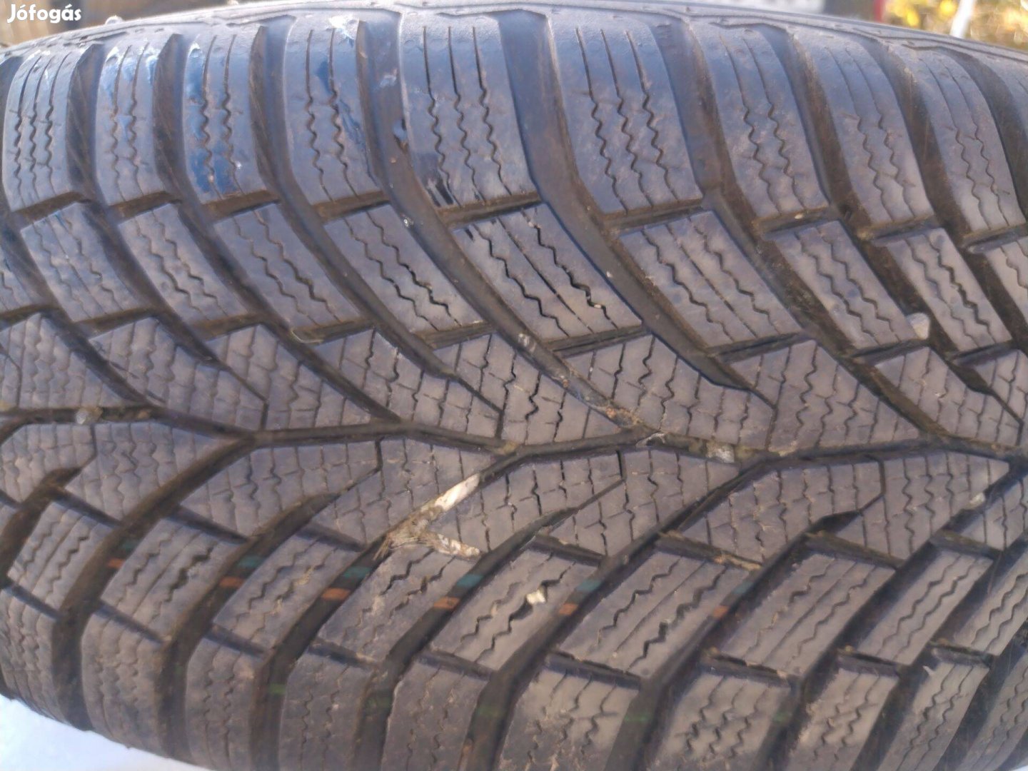 Continental Téligumi