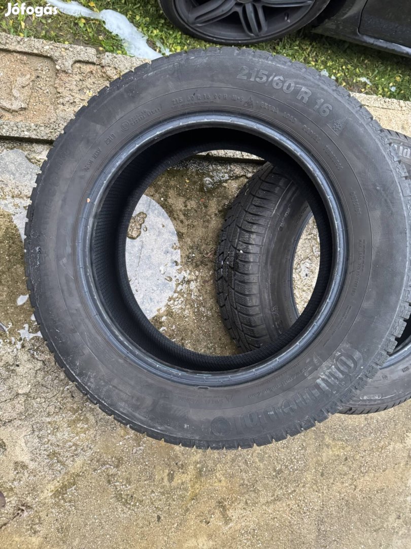 Continental téligum