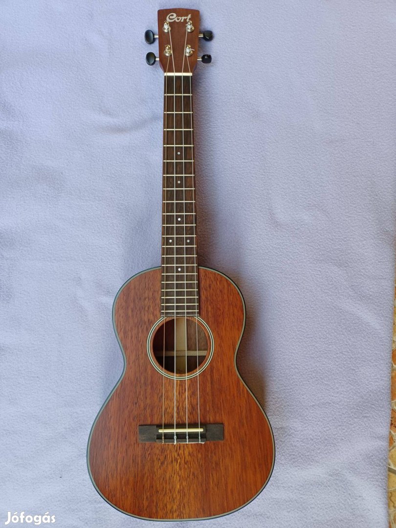 Cort deals tenor ukulele