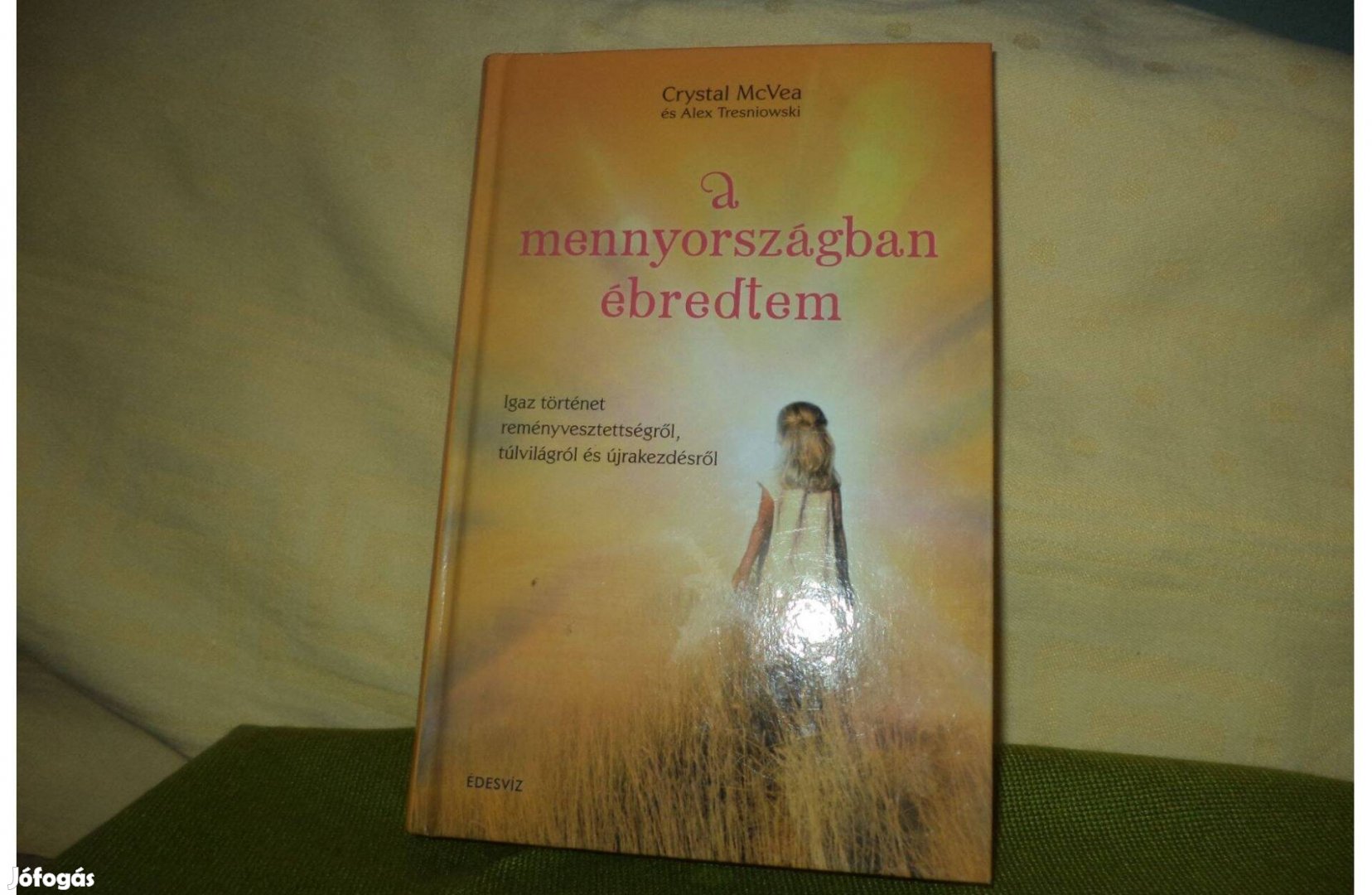 Crystal Mcvea és Alex Tresniowski A menyországban ébredtem