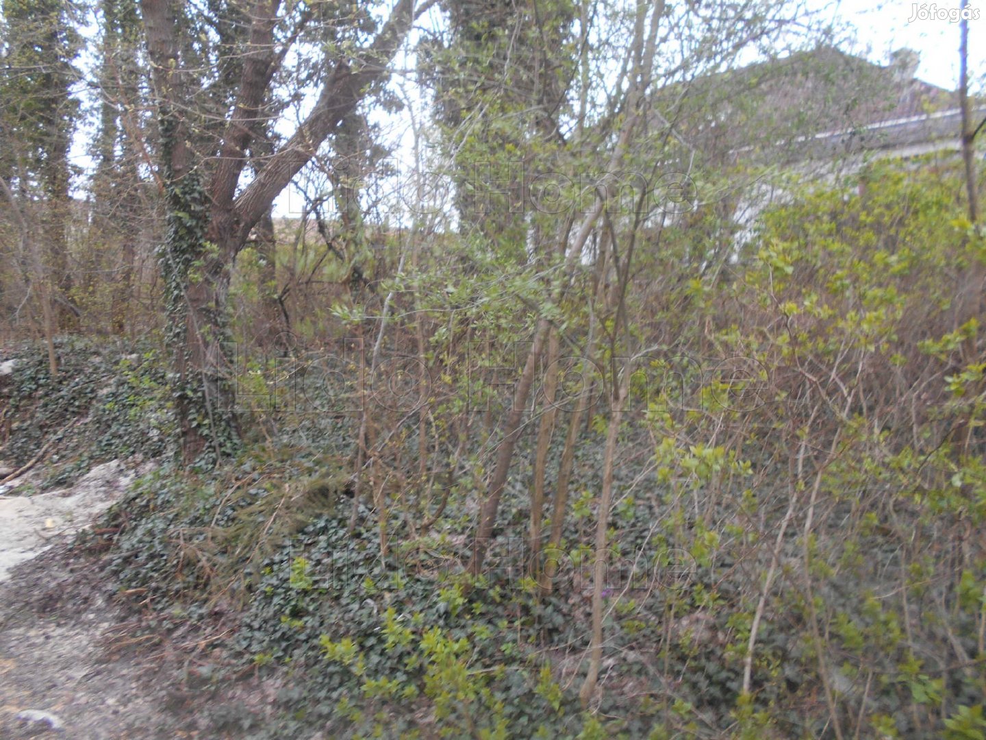 Csabrendeken egy intim telek, otthonának szerezze meg!