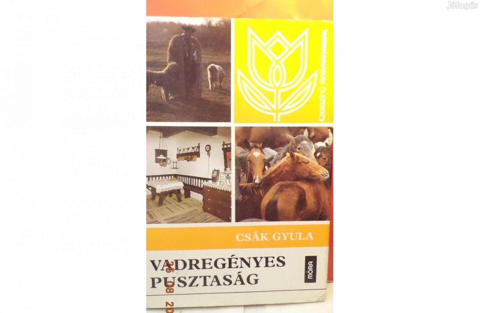 Csák Gyula: Vadregényes pusztaság
