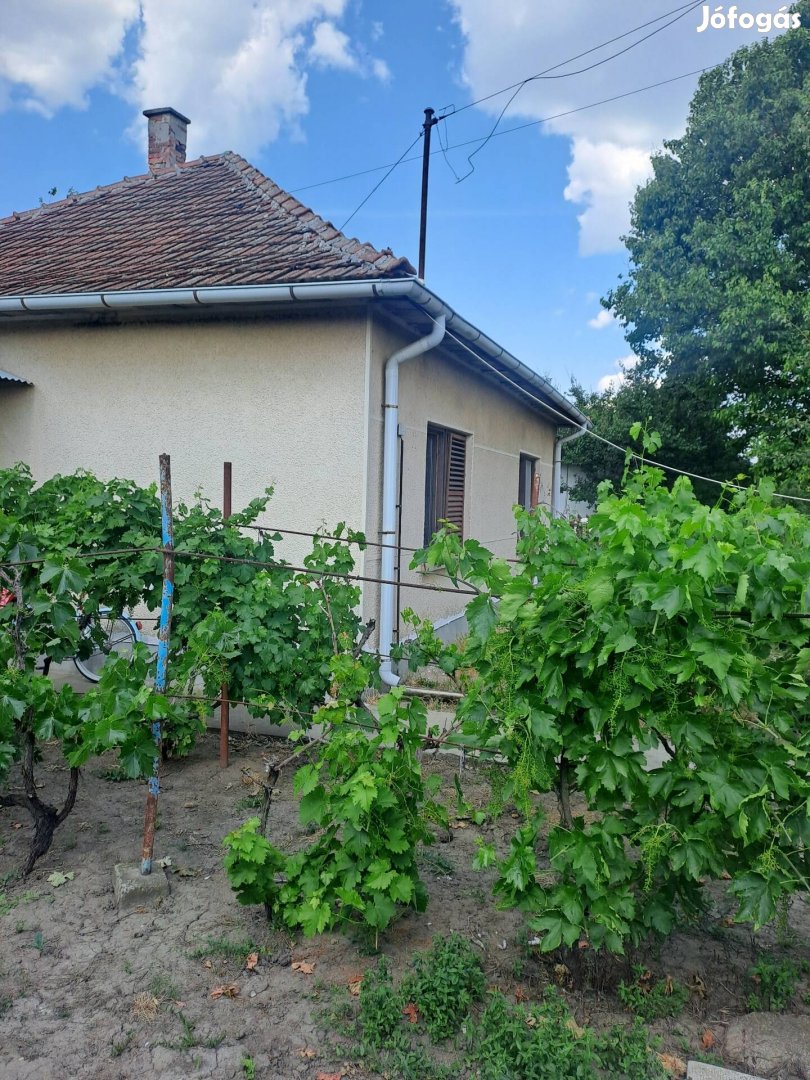 Családi ház Telekgerendáson