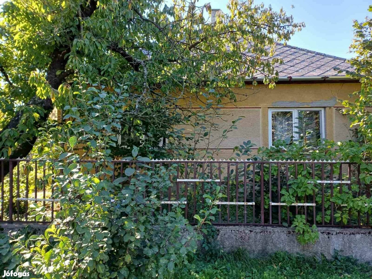 Családi ház Tisza menti településen eladó