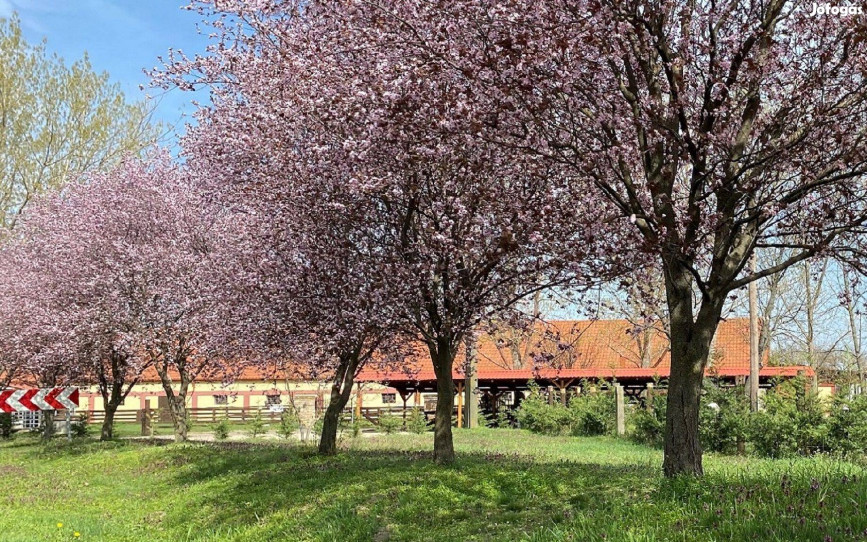 Családias farmunkra munkatársat keresünk