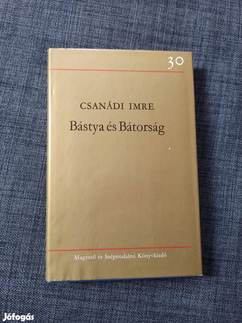 Csanádi Imre - Bástya és bátorság