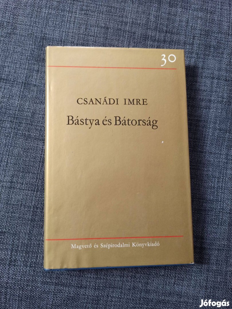 Csanádi Imre - Bástya és bátorság