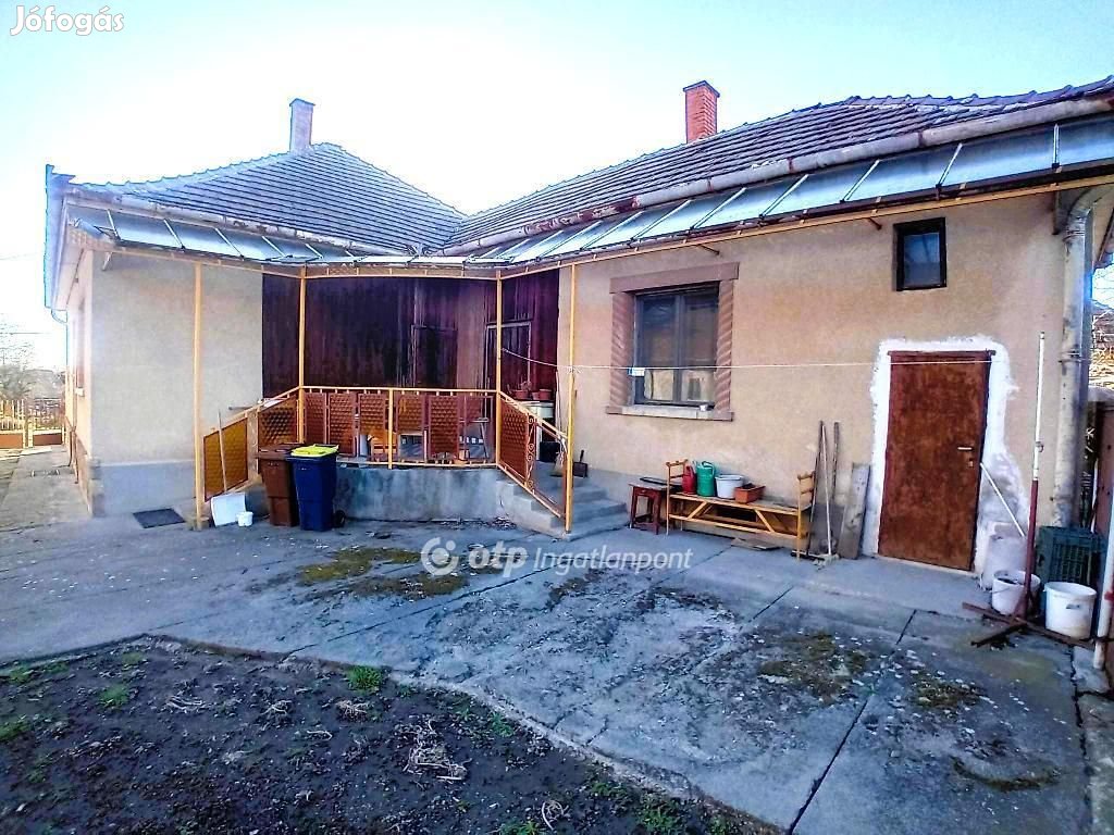 Csányi 110 nm-es ház eladó
