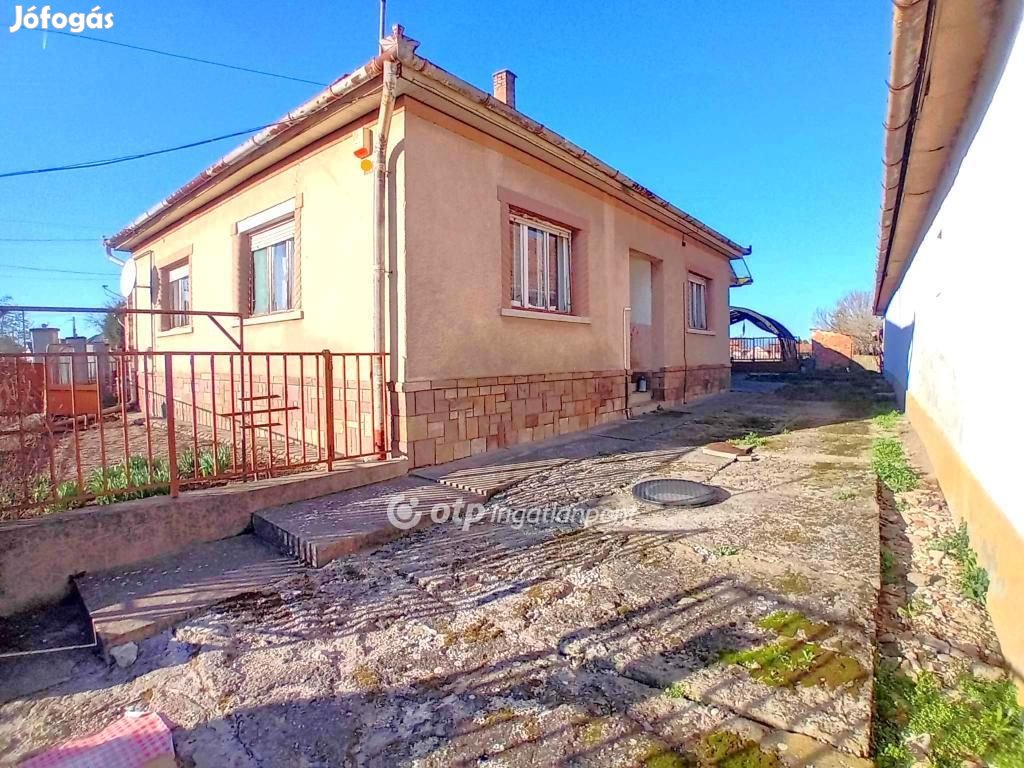 Csányi 110 nm-es ház eladó