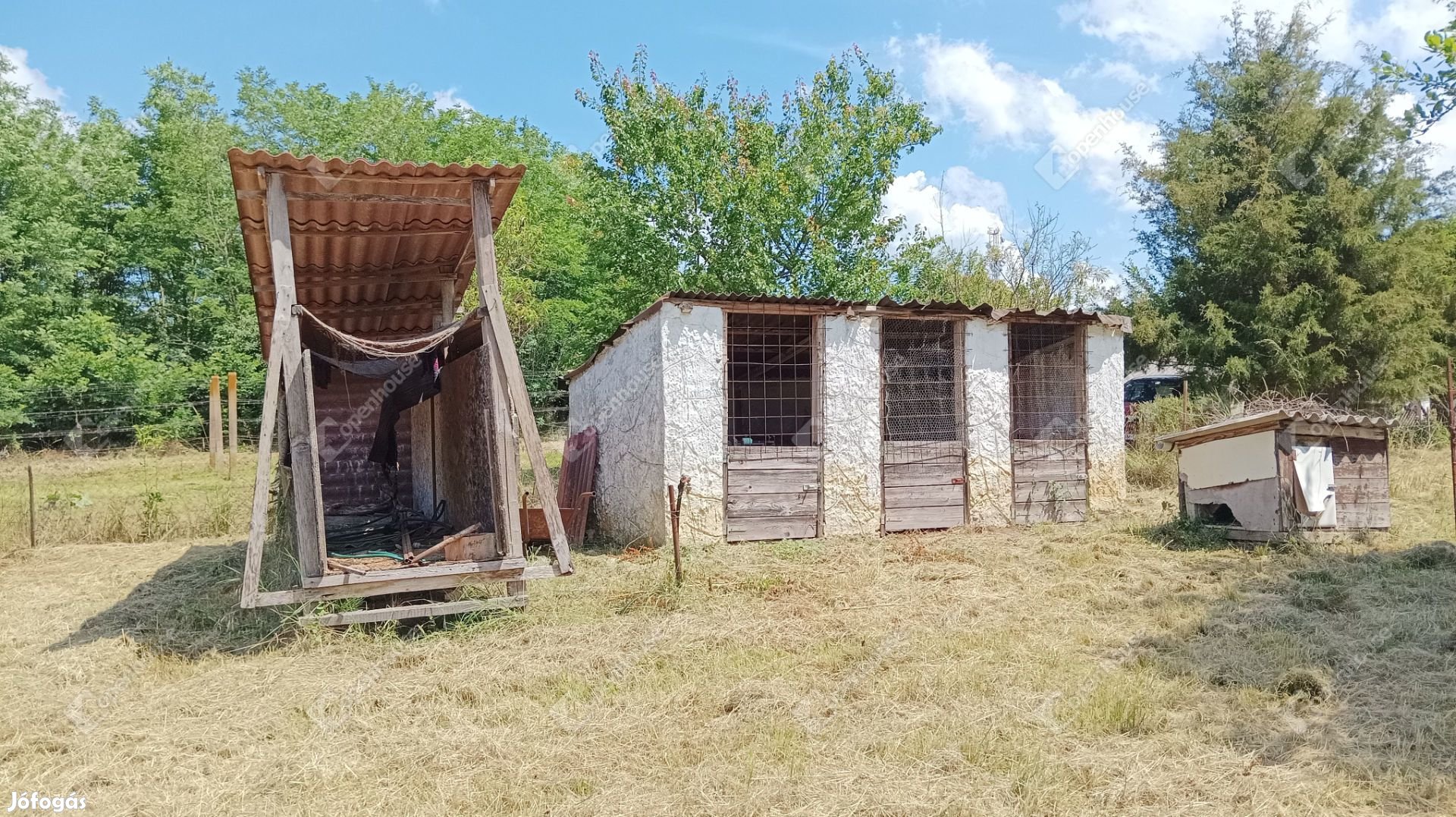 Csapi a táj: Ahol a nyugalom és a természet összefonódik