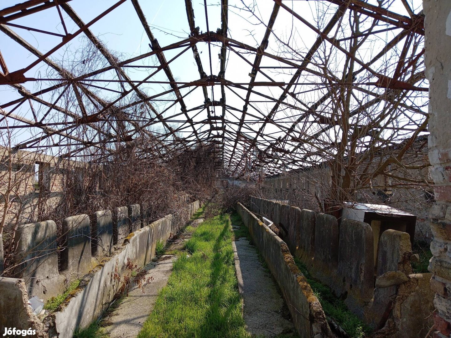 Csarnokváz, épület bontásra eladó
