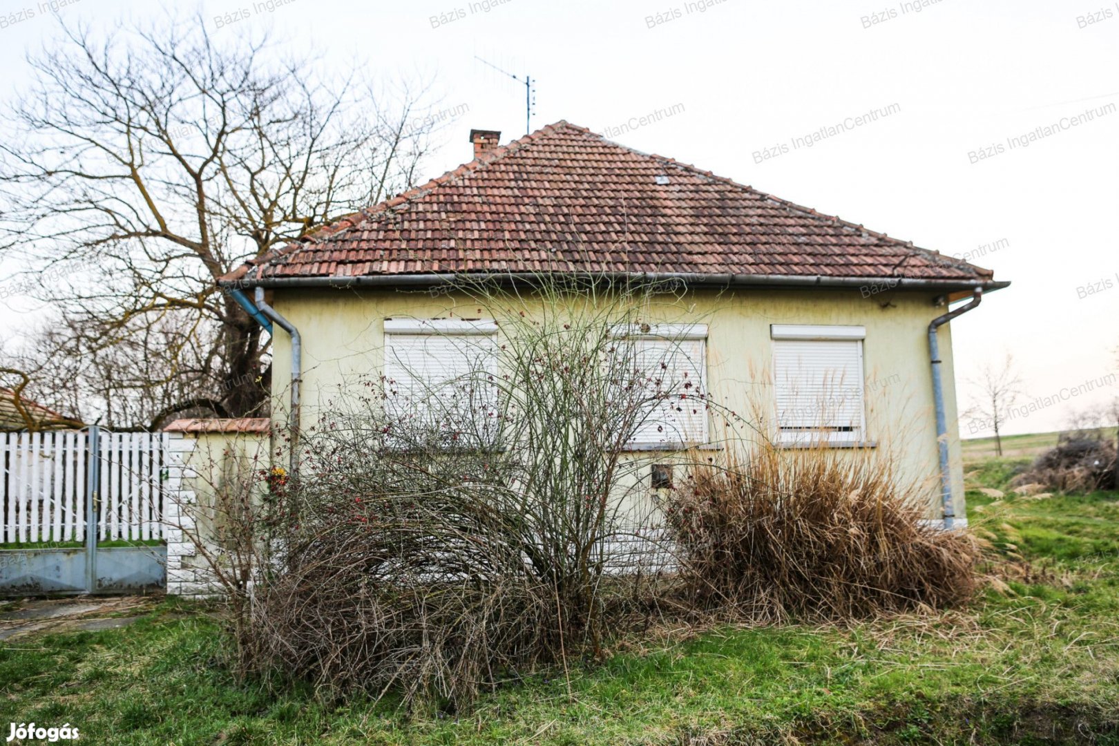 Csátalja településen felújítandó családi ház kis udvarral eladó