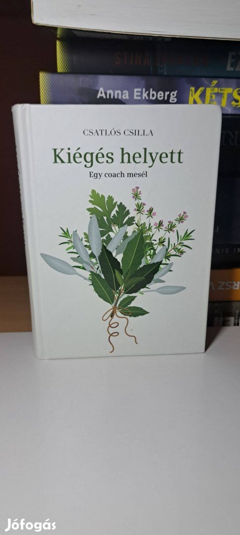 Csatlós Csilla: Kiégés helyett