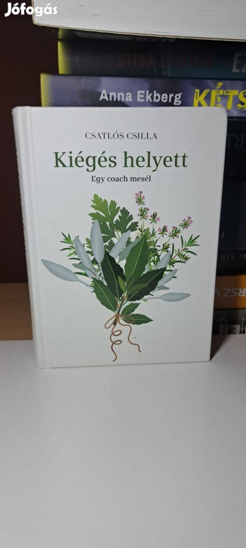 Csatlós Csilla: Kiégés helyett