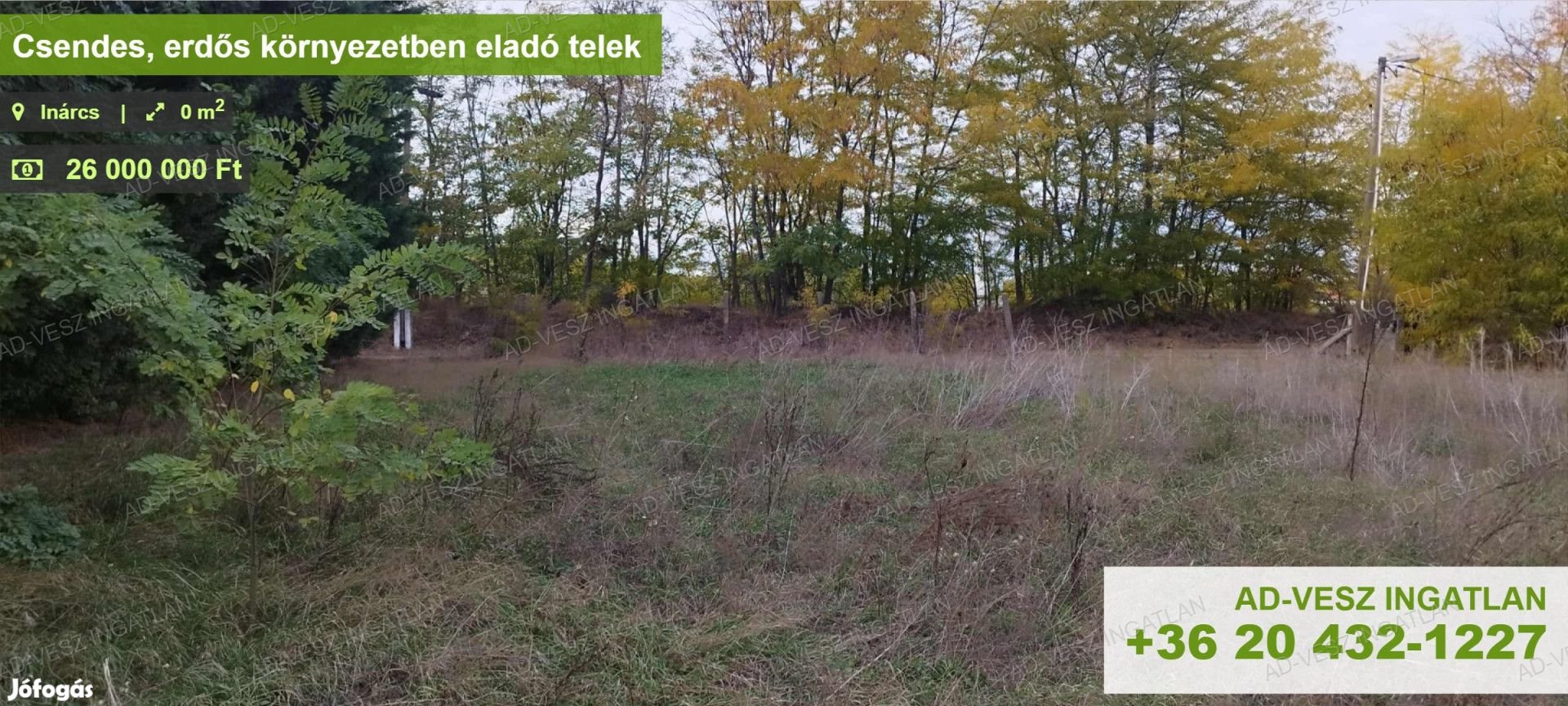Csendes, erdős környezetben eladó telek