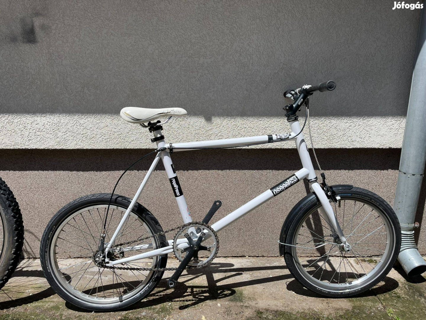 Csepel Frisco
