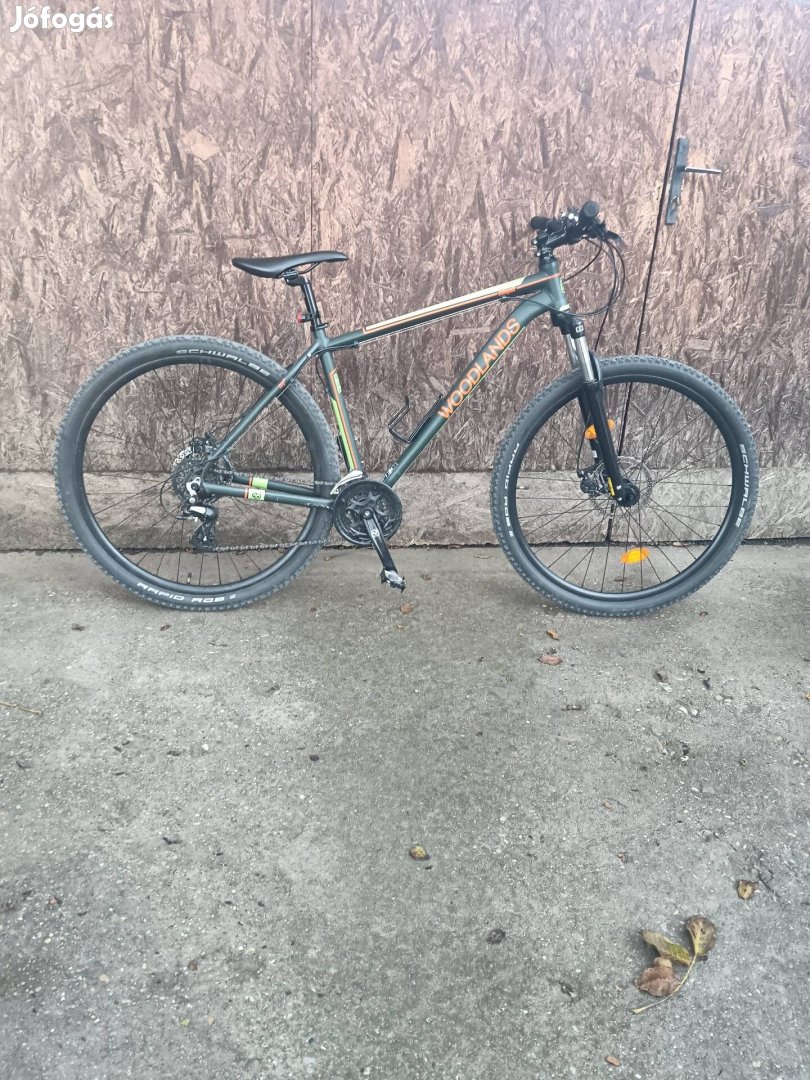 Csepel woodlands 29"