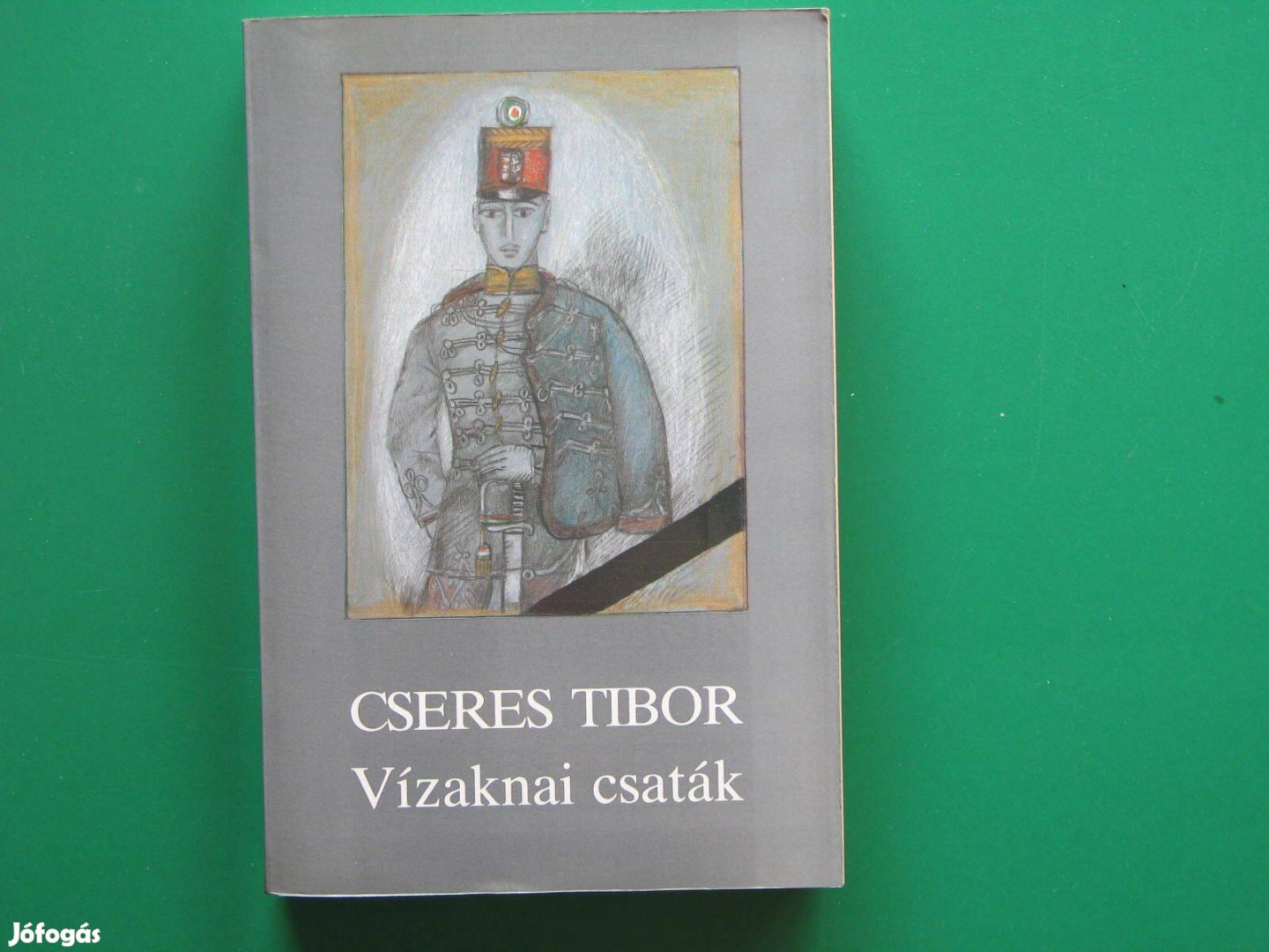 Cseres Tibor Vízaknai csaták - Bem tábornok