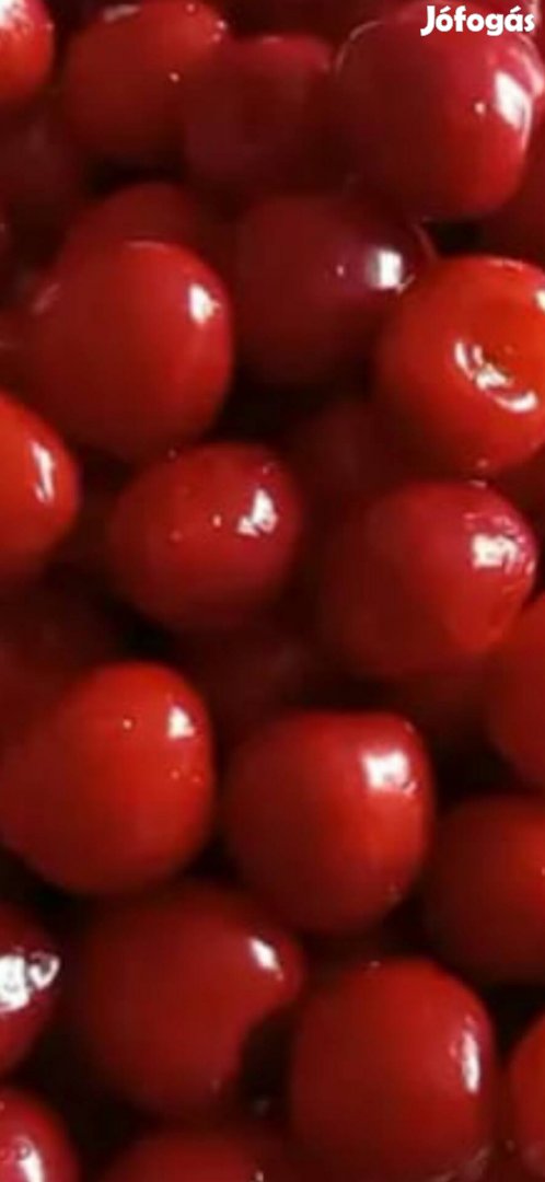 Cseresznye  Bio eladó a termelőtől 