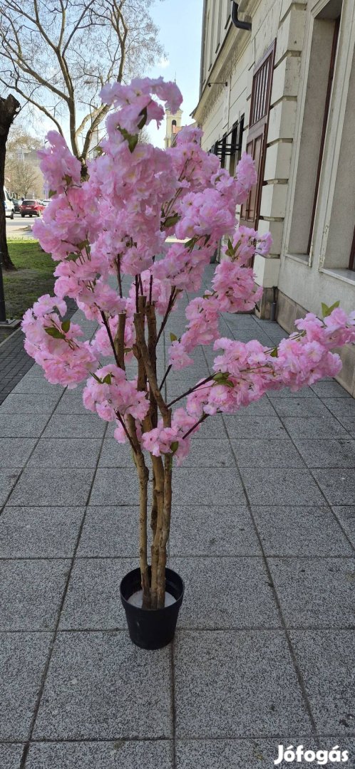 Cseresznye virág kültérre beltérre