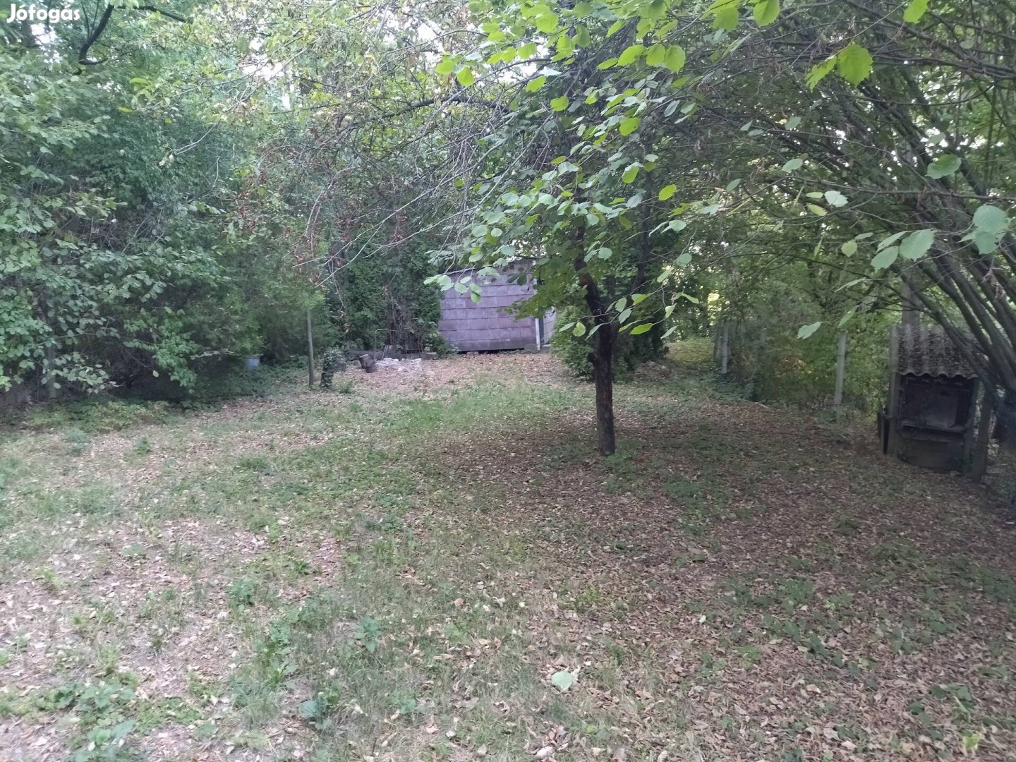 Cseszneken erdő közepén zárt kerti ingatlan eladó!