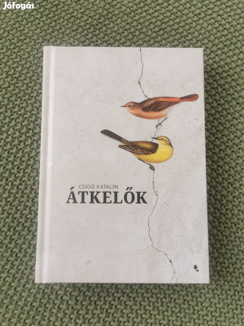 Csigó Katalin: Átkelők 