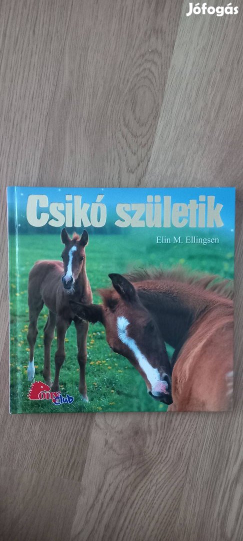 Csikó születik könyv