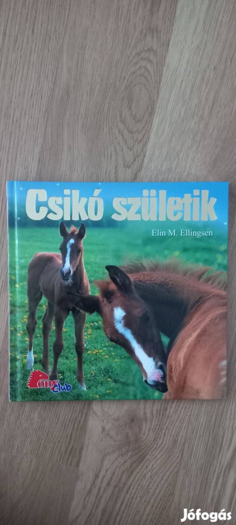 Csikó születik könyv