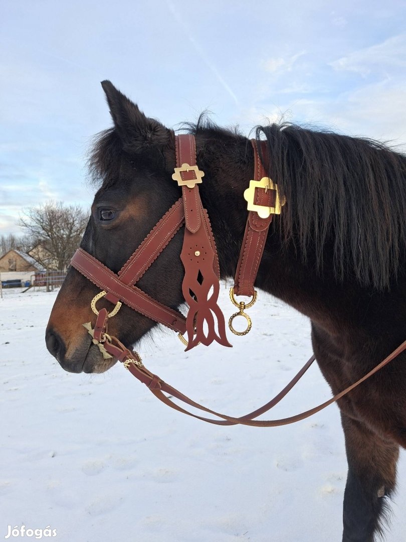 Csikós felszerelés